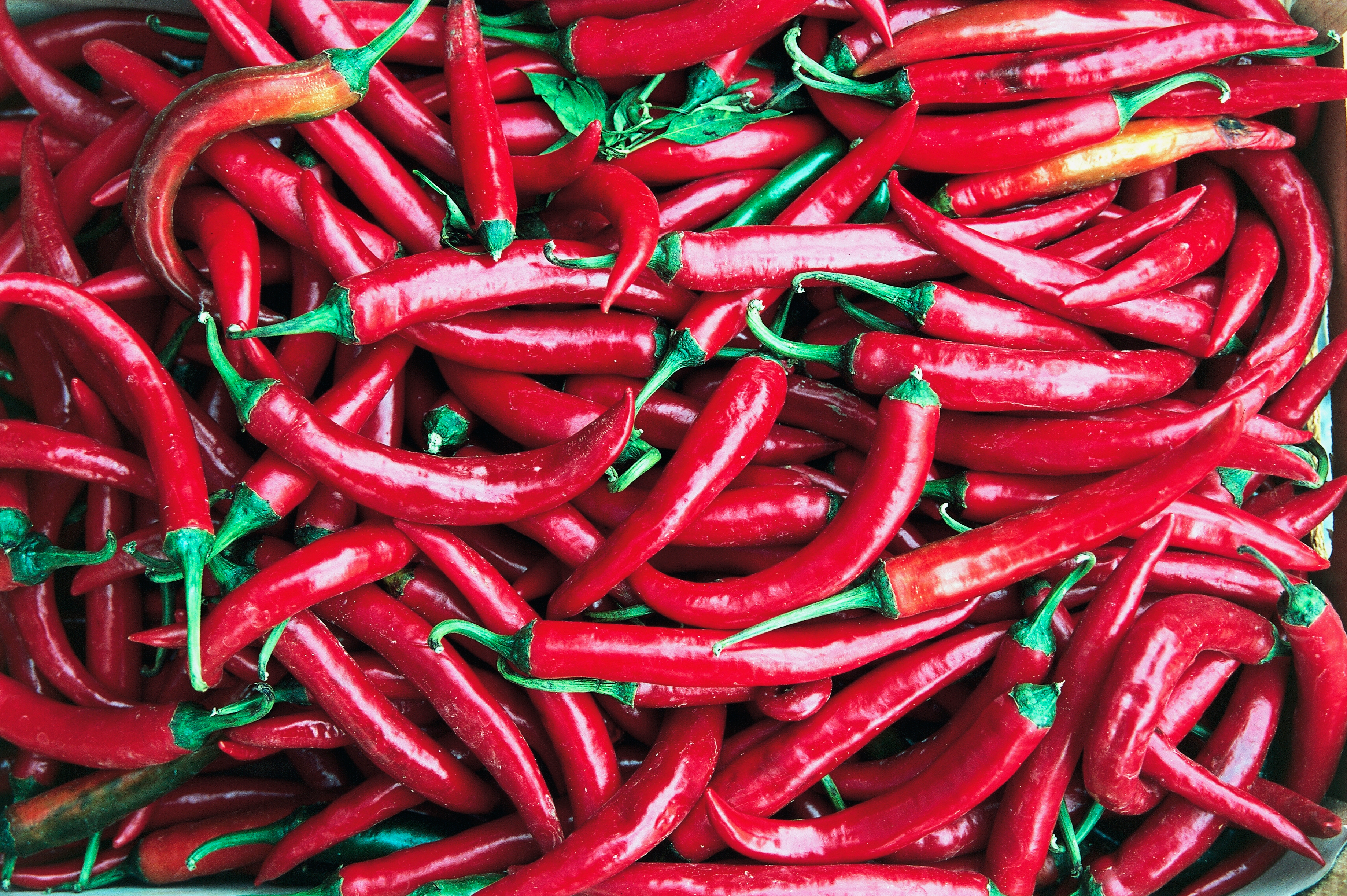 You Should Eat More Spicy Food | Time