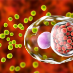 Chlamydia trachomatis và những điều bạn nên biết