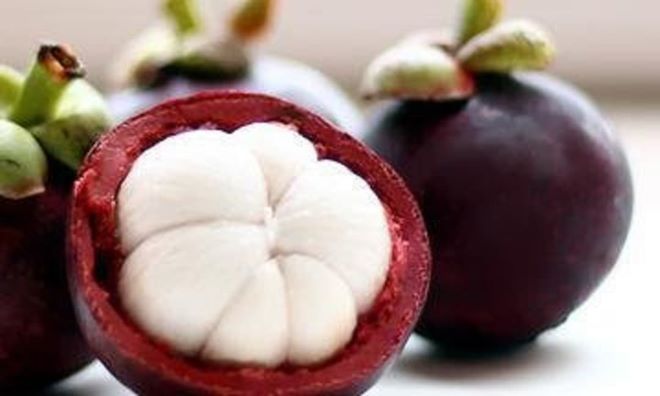  Chữa bệnh lậu bằng cây măng cụt 