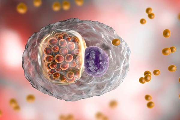 Bệnh CHLAMYDIA là bệnh gì và những biến chứng của bệnh
