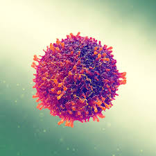 HIV Là Gì? Tác Hại Nguy Hiểm Của HIV Mà Bạn Cần Biết